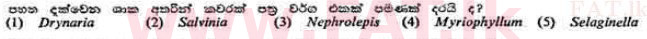 දේශීය විෂය නිර්දේශය : උසස් පෙළ (A/L) උද්භිත විද්‍යාව - 1991 අගෝස්තු - ප්‍රශ්න පත්‍රය I (සිංහල මාධ්‍යය) 17 1