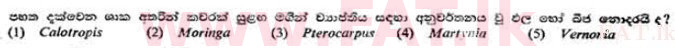 දේශීය විෂය නිර්දේශය : උසස් පෙළ (A/L) උද්භිත විද්‍යාව - 1991 අගෝස්තු - ප්‍රශ්න පත්‍රය I (සිංහල මාධ්‍යය) 21 1
