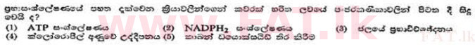 දේශීය විෂය නිර්දේශය : උසස් පෙළ (A/L) උද්භිත විද්‍යාව - 1991 අගෝස්තු - ප්‍රශ්න පත්‍රය I (සිංහල මාධ්‍යය) 26 1