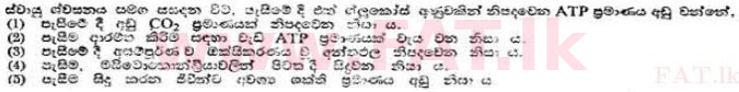 දේශීය විෂය නිර්දේශය : උසස් පෙළ (A/L) උද්භිත විද්‍යාව - 1991 අගෝස්තු - ප්‍රශ්න පත්‍රය I (සිංහල මාධ්‍යය) 34 1