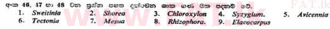 දේශීය විෂය නිර්දේශය : උසස් පෙළ (A/L) උද්භිත විද්‍යාව - 1991 අගෝස්තු - ප්‍රශ්න පත්‍රය I (සිංහල මාධ්‍යය) 47 1
