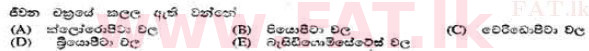 දේශීය විෂය නිර්දේශය : උසස් පෙළ (A/L) උද්භිත විද්‍යාව - 1991 අගෝස්තු - ප්‍රශ්න පත්‍රය I (සිංහල මාධ්‍යය) 54 2