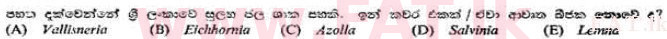 දේශීය විෂය නිර්දේශය : උසස් පෙළ (A/L) උද්භිත විද්‍යාව - 1991 අගෝස්තු - ප්‍රශ්න පත්‍රය I (සිංහල මාධ්‍යය) 57 2