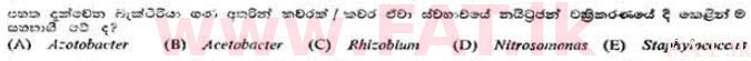 දේශීය විෂය නිර්දේශය : උසස් පෙළ (A/L) උද්භිත විද්‍යාව - 1991 අගෝස්තු - ප්‍රශ්න පත්‍රය I (සිංහල මාධ්‍යය) 58 2