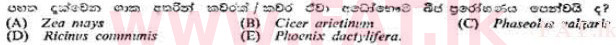 දේශීය විෂය නිර්දේශය : උසස් පෙළ (A/L) උද්භිත විද්‍යාව - 1991 අගෝස්තු - ප්‍රශ්න පත්‍රය I (සිංහල මාධ්‍යය) 59 2
