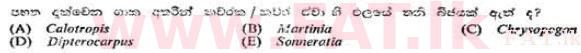 දේශීය විෂය නිර්දේශය : උසස් පෙළ (A/L) උද්භිත විද්‍යාව - 1991 අගෝස්තු - ප්‍රශ්න පත්‍රය I (සිංහල මාධ්‍යය) 60 2