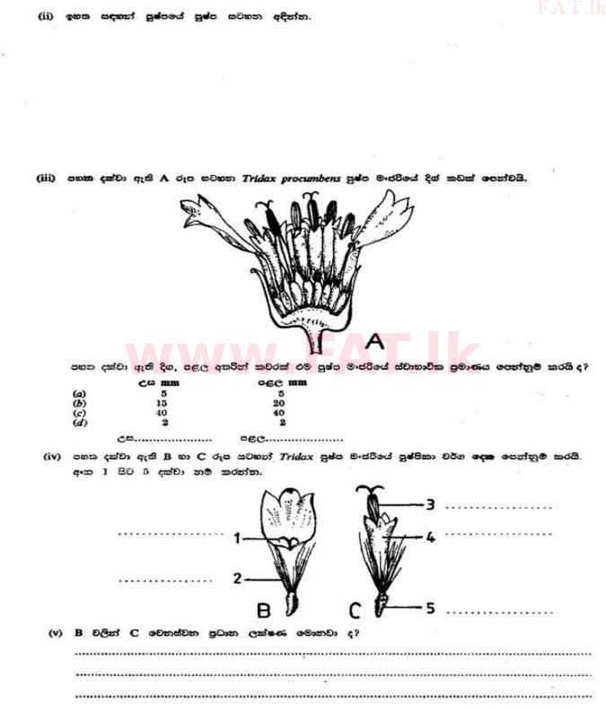 National Syllabus : Advanced Level (A/L) Botany - 1991 August - Paper II A (සිංහල Medium) 2 2