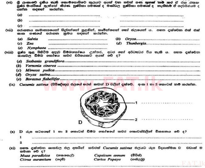National Syllabus : Advanced Level (A/L) Botany - 1991 August - Paper II A (සිංහල Medium) 2 3