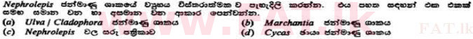 National Syllabus : Advanced Level (A/L) Botany - 1991 August - Paper II B (සිංහල Medium) 3 1