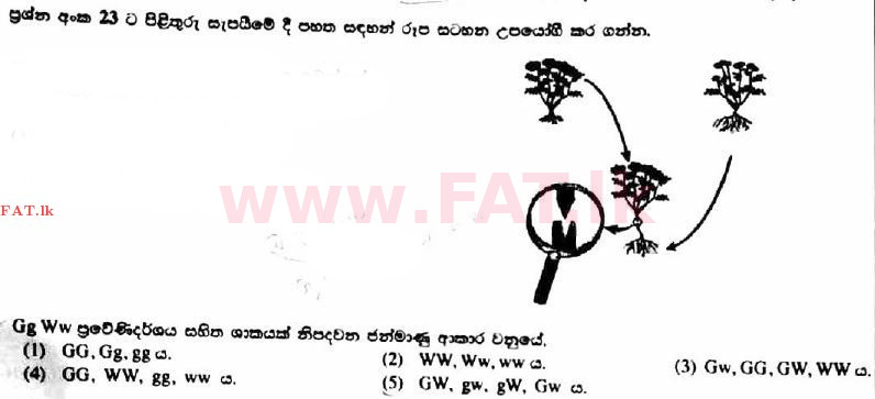 National Syllabus : Advanced Level (A/L) Agricultural Science - 2017 August - Paper I (සිංහල Medium) 24 1