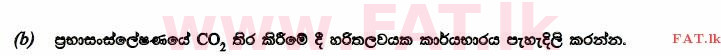 உள்ளூர் பாடத்திட்டம் : உயர்தரம் (உ/த) உயிரியல் - 2014 ஆகஸ்ட் - தாள்கள் II (සිංහල மொழிமூலம்) 5 2