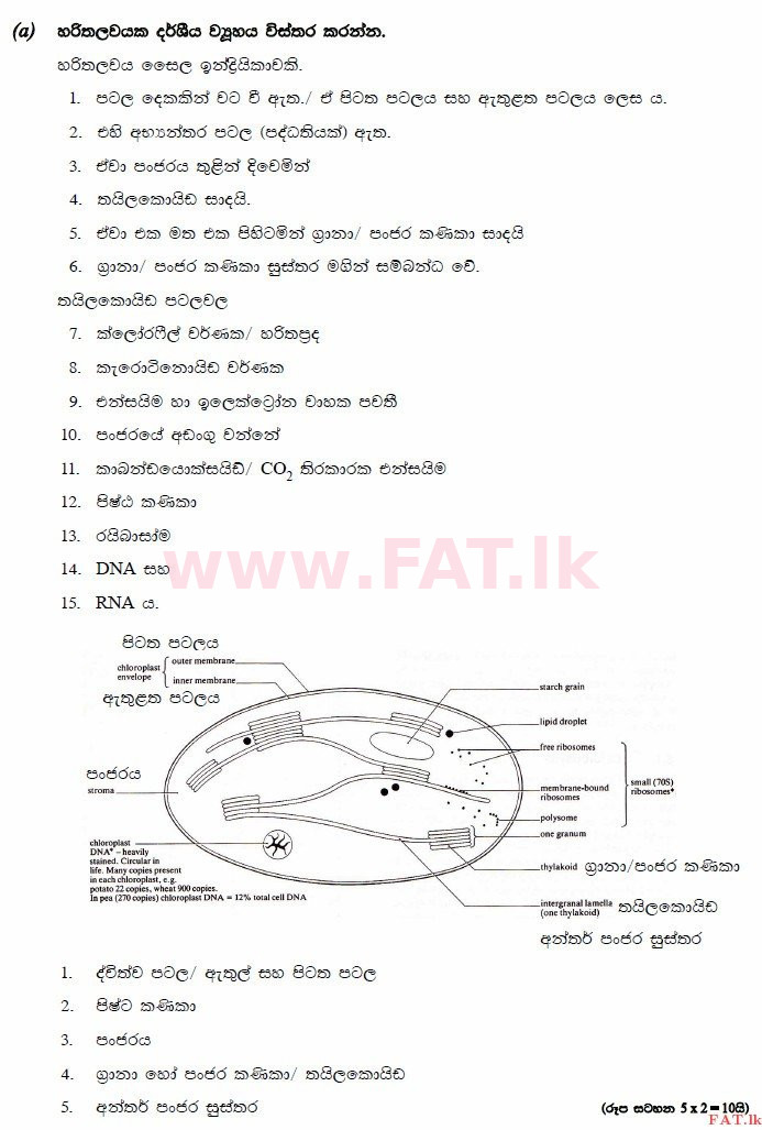 உள்ளூர் பாடத்திட்டம் : உயர்தரம் (உ/த) உயிரியல் - 2014 ஆகஸ்ட் - தாள்கள் II (සිංහල மொழிமூலம்) 5 3048