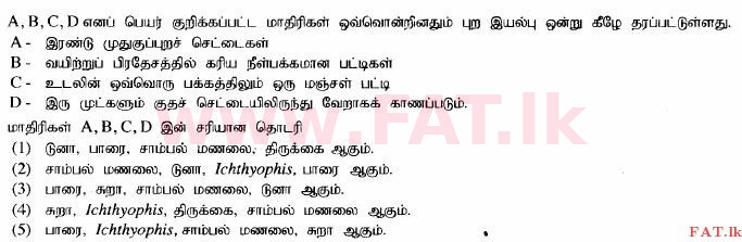 உள்ளூர் பாடத்திட்டம் : உயர்தரம் (உ/த) உயிரியல் - 2014 ஆகஸ்ட் - தாள்கள் I (தமிழ் மொழிமூலம்) 11 1