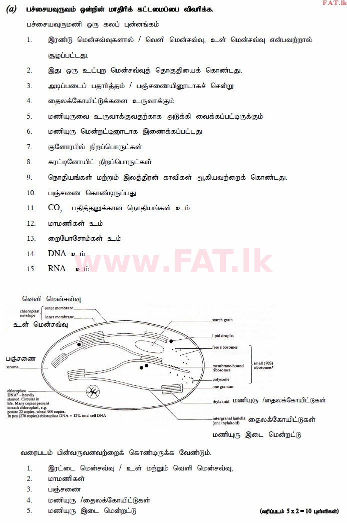 உள்ளூர் பாடத்திட்டம் : உயர்தரம் (உ/த) உயிரியல் - 2014 ஆகஸ்ட் - தாள்கள் II (தமிழ் மொழிமூலம்) 5 3072
