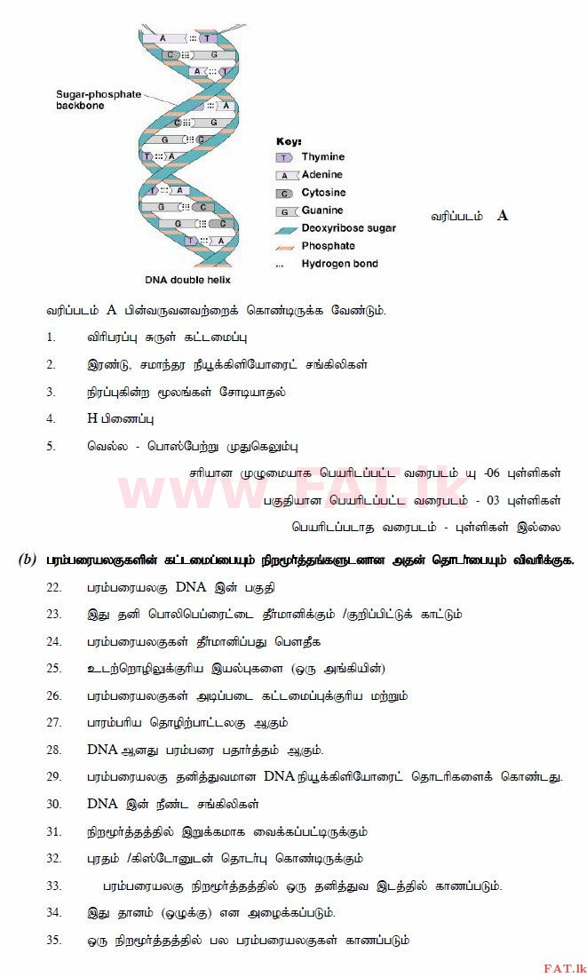 உள்ளூர் பாடத்திட்டம் : உயர்தரம் (உ/த) உயிரியல் - 2014 ஆகஸ்ட் - தாள்கள் II (தமிழ் மொழிமூலம்) 8 3079