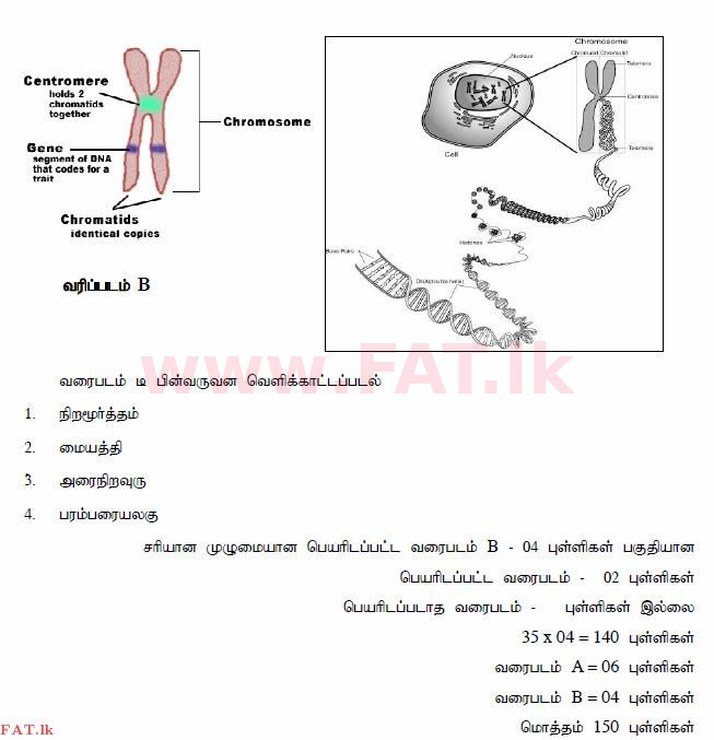உள்ளூர் பாடத்திட்டம் : உயர்தரம் (உ/த) உயிரியல் - 2014 ஆகஸ்ட் - தாள்கள் II (தமிழ் மொழிமூலம்) 8 3080