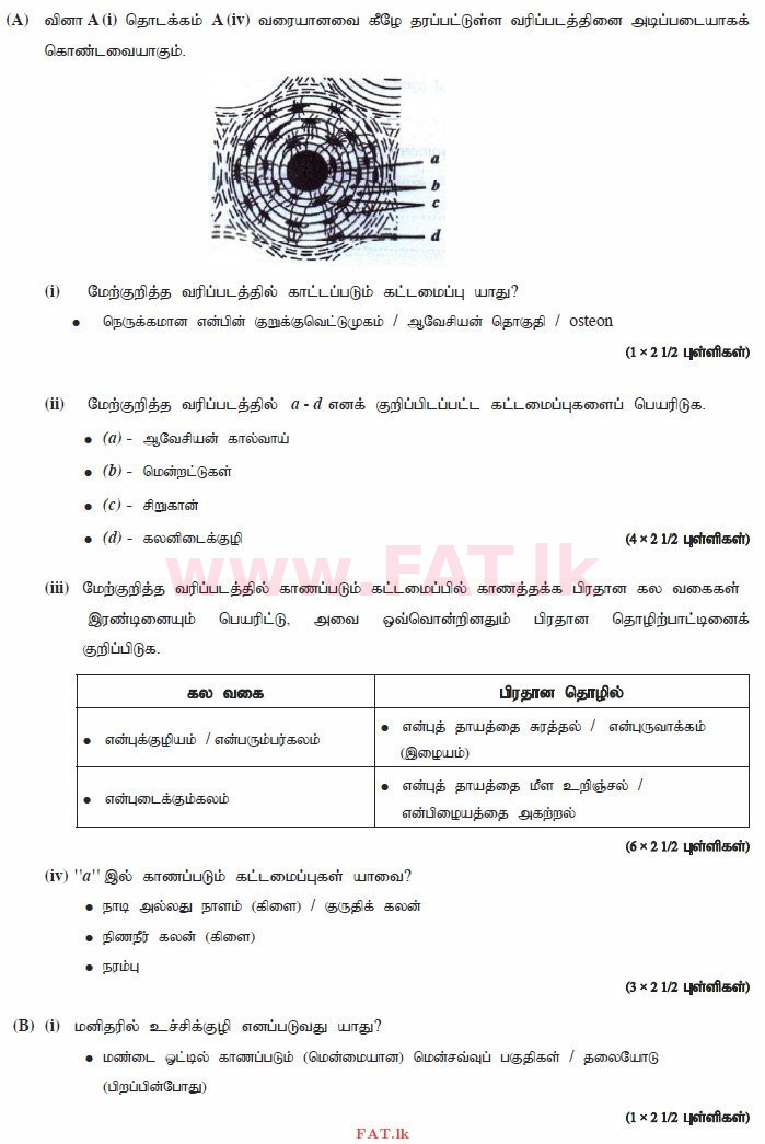 National Syllabus : Advanced Level (A/L) Biology - 2015 August - Paper II (தமிழ் Medium) 3 3767