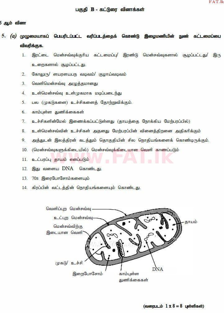 National Syllabus : Advanced Level (A/L) Biology - 2015 August - Paper II (தமிழ் Medium) 5 3773