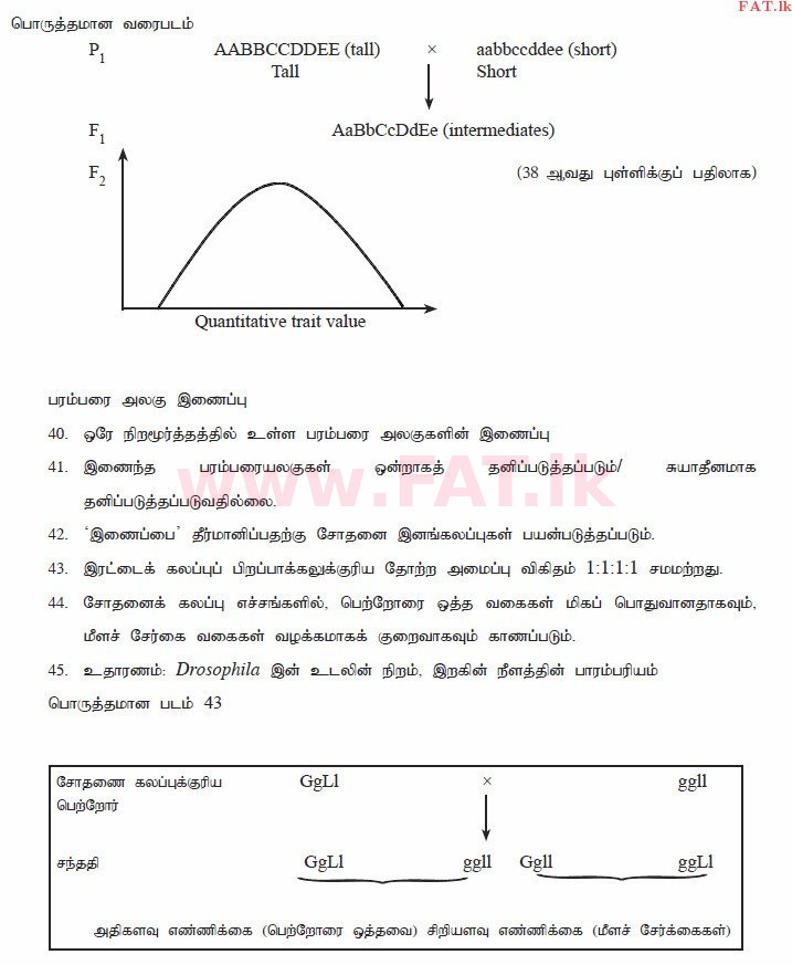 National Syllabus : Advanced Level (A/L) Biology - 2015 August - Paper II (தமிழ் Medium) 8 3784