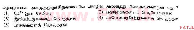 உள்ளூர் பாடத்திட்டம் : உயர்தரம் (உ/த) உயிரியல் - 2017 ஆகஸ்ட் - தாள்கள் I (தமிழ் மொழிமூலம்) 5 1