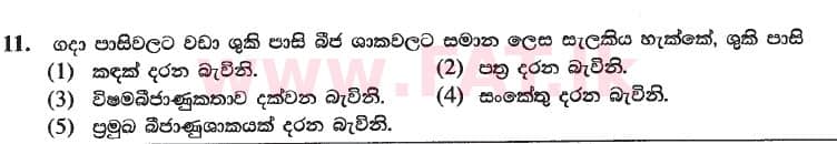 National Syllabus : Advanced Level (A/L) Biology - 2020 October - Paper I (New Syllabus) (සිංහල Medium) 11 1