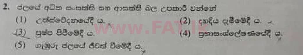 National Syllabus : Advanced Level (A/L) Biology - 2020 October - Paper I (Old Syllabus) (සිංහල Medium) 2 1