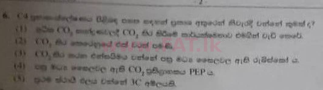 National Syllabus : Advanced Level (A/L) Biology - 2020 October - Paper I (Old Syllabus) (සිංහල Medium) 6 1