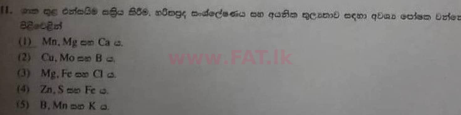 දේශීය විෂය නිර්දේශය : උසස් පෙළ (A/L) ජීව විද්‍යාව - 2020 ඔක්තෝබර් - ප්‍රශ්න පත්‍රය I (පැරණි විෂය නිර්දේශය) (සිංහල මාධ්‍යය) 11 1