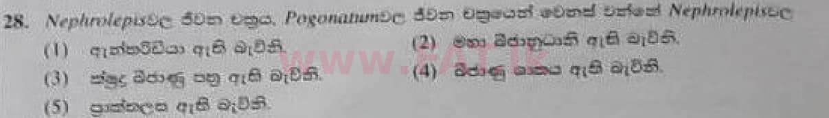 உள்ளூர் பாடத்திட்டம் : உயர்தரம் (உ/த) உயிரியல் - 2020 அக்டோபர் - தாள்கள் I (பழைய பாடத்திட்டம்) (සිංහල மொழிமூலம்) 28 1