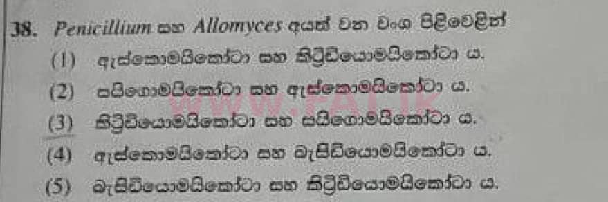 National Syllabus : Advanced Level (A/L) Biology - 2020 October - Paper I (Old Syllabus) (සිංහල Medium) 38 1