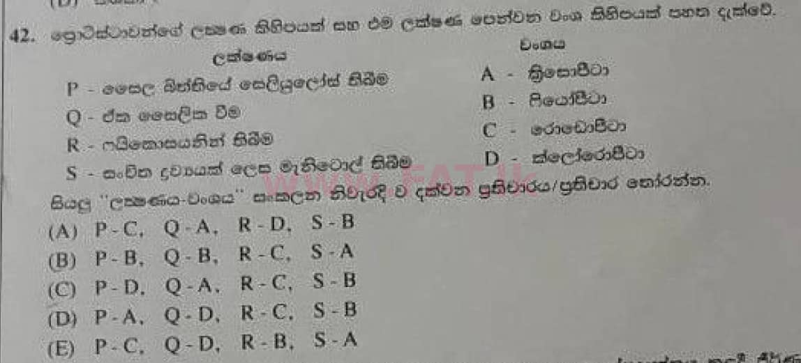 National Syllabus : Advanced Level (A/L) Biology - 2020 October - Paper I (Old Syllabus) (සිංහල Medium) 42 2