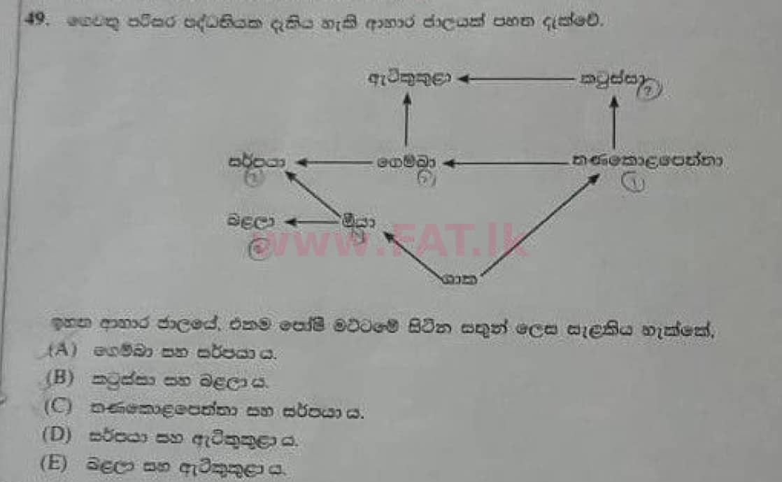 National Syllabus : Advanced Level (A/L) Biology - 2020 October - Paper I (Old Syllabus) (සිංහල Medium) 49 2