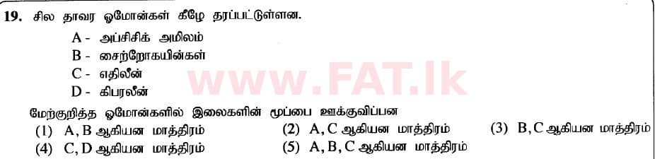 உள்ளூர் பாடத்திட்டம் : உயர்தரம் (உ/த) உயிரியல் - 2020 அக்டோபர் - தாள்கள் I (புதிய பாடத்திட்டம்) (தமிழ் மொழிமூலம்) 19 1