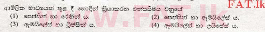 உள்ளூர் பாடத்திட்டம் : சாதாரண நிலை (சா/த) விஞ்ஞான - 2008 டிசம்பர் - தாள்கள் I (සිංහල மொழிமூலம்) 3 1