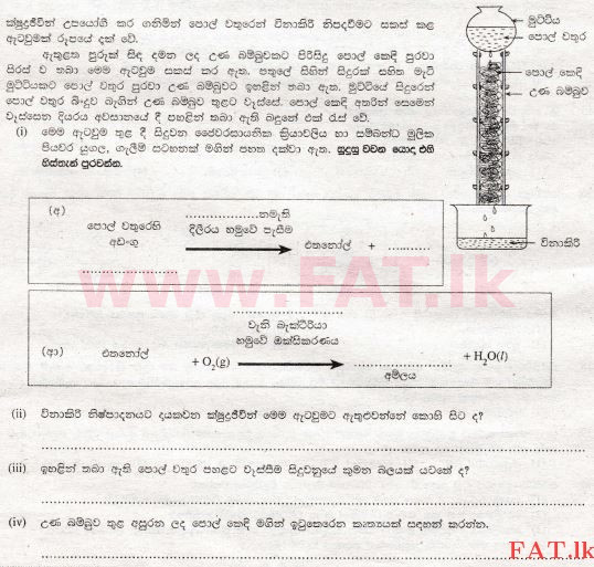 உள்ளூர் பாடத்திட்டம் : சாதாரண நிலை (சா/த) விஞ்ஞான - 2008 டிசம்பர் - தாள்கள் II A (සිංහල மொழிமூலம்) 1 1