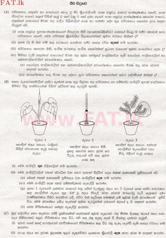 உள்ளூர் பாடத்திட்டம் : சாதாரண நிலை (சா/த) விஞ்ஞான - 2008 டிசம்பர் - தாள்கள் II B (සිංහල மொழிமூலம்) 1 1