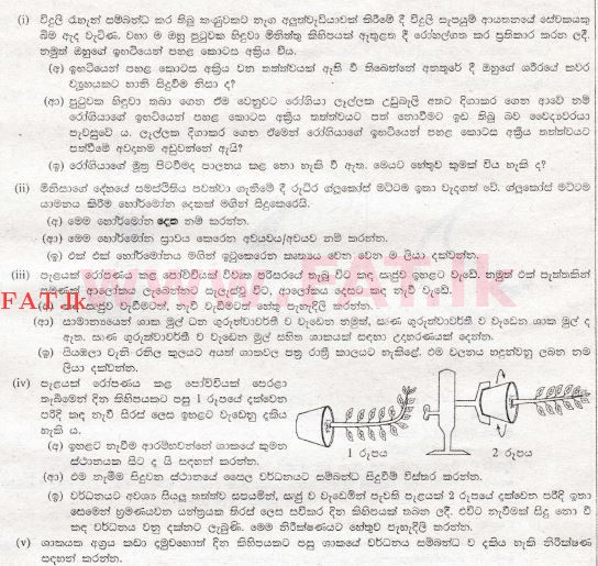 உள்ளூர் பாடத்திட்டம் : சாதாரண நிலை (சா/த) விஞ்ஞான - 2008 டிசம்பர் - தாள்கள் II B (සිංහල மொழிமூலம்) 2 1