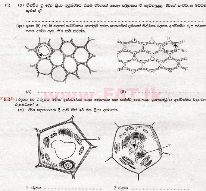 உள்ளூர் பாடத்திட்டம் : சாதாரண நிலை (சா/த) விஞ்ஞான - 2009 டிசம்பர் - தாள்கள் II A (සිංහල மொழிமூலம்) 2 2
