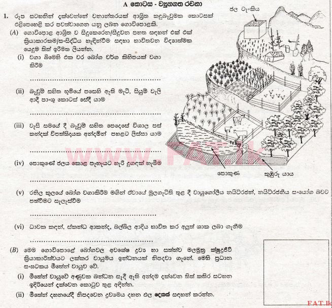 உள்ளூர் பாடத்திட்டம் : சாதாரண நிலை (சா/த) விஞ்ஞான - 2010 டிசம்பர் - தாள்கள் II (සිංහල மொழிமூலம்) 1 1