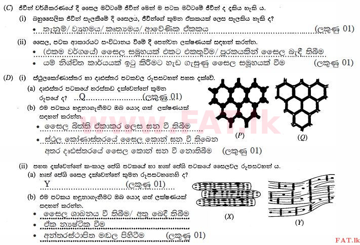 National Syllabus : Ordinary Level (O/L) Science - 2012 December - Paper II (සිංහල Medium) 2 1606