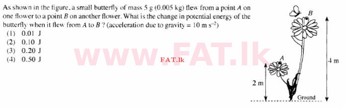 දේශීය විෂය නිර්දේශය : සාමාන්‍ය පෙළ (O/L) විද්‍යාව - 2015 දෙසැම්බර් - ප්‍රශ්න පත්‍රය I (English මාධ්‍යය) 30 1