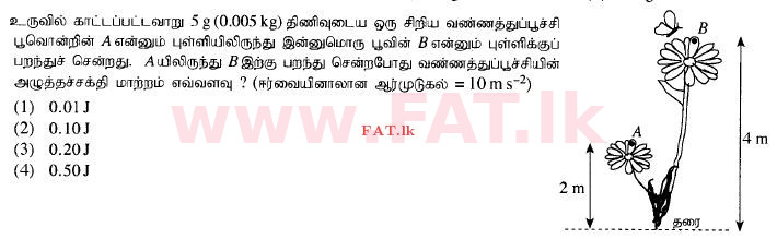 உள்ளூர் பாடத்திட்டம் : சாதாரண நிலை (சா/த) விஞ்ஞான - 2015 டிசம்பர் - தாள்கள் I (தமிழ் மொழிமூலம்) 30 1