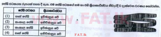 உள்ளூர் பாடத்திட்டம் : சாதாரண நிலை (சா/த) விஞ்ஞான - 2016 டிசம்பர் - தாள்கள் I (සිංහල மொழிமூலம்) 20 1