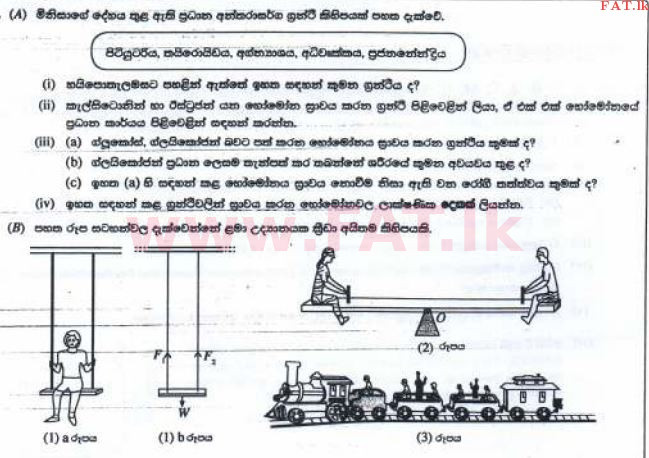 உள்ளூர் பாடத்திட்டம் : சாதாரண நிலை (சா/த) விஞ்ஞான - 2016 டிசம்பர் - தாள்கள் II (සිංහල மொழிமூலம்) 8 1