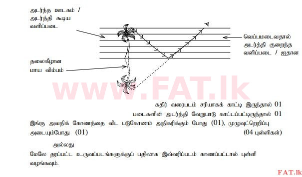 දේශීය විෂය නිර්දේශය : සාමාන්‍ය පෙළ (O/L) විද්‍යාව - 2015 දෙසැම්බර් - ප්‍රශ්න පත්‍රය II (தமிழ் මාධ්‍යය) 10 246