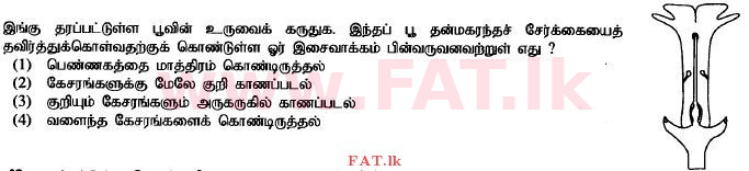 දේශීය විෂය නිර්දේශය : සාමාන්‍ය පෙළ (O/L) විද්‍යාව - 2014 දෙසැම්බර් - ප්‍රශ්න පත්‍රය I (தமிழ் මාධ්‍යය) 5 1