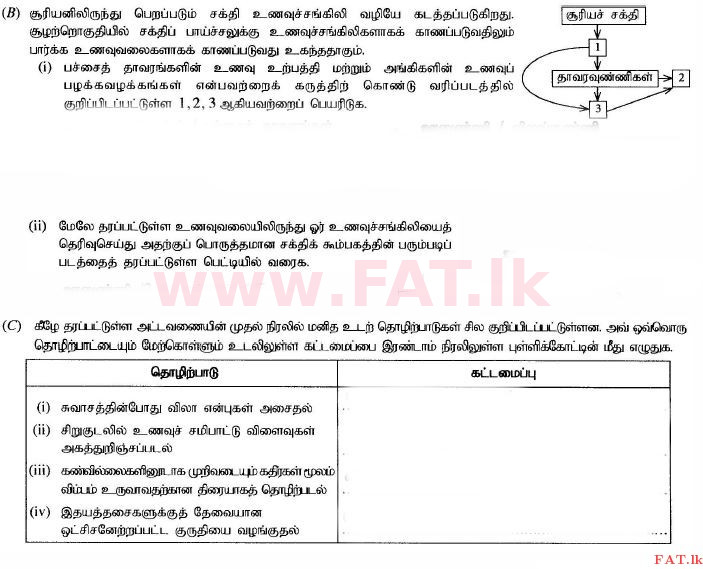 දේශීය විෂය නිර්දේශය : සාමාන්‍ය පෙළ (O/L) විද්‍යාව - 2014 දෙසැම්බර් - ප්‍රශ්න පත්‍රය II (தமிழ் මාධ්‍යය) 2 3