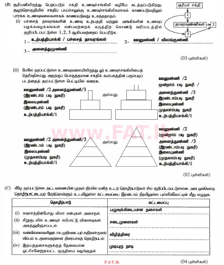 National Syllabus : Ordinary Level (O/L) Science - 2014 December - Paper II (தமிழ் Medium) 2 440