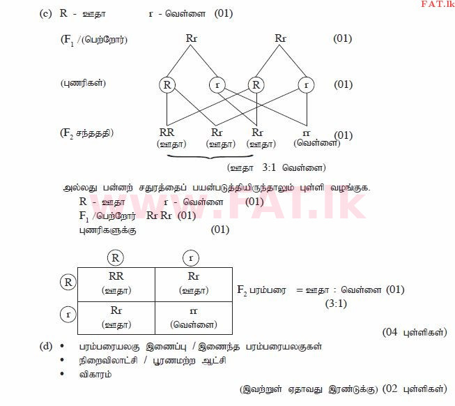 දේශීය විෂය නිර්දේශය : සාමාන්‍ය පෙළ (O/L) විද්‍යාව - 2014 දෙසැම්බර් - ප්‍රශ්න පත්‍රය II (தமிழ் මාධ්‍යය) 6 451