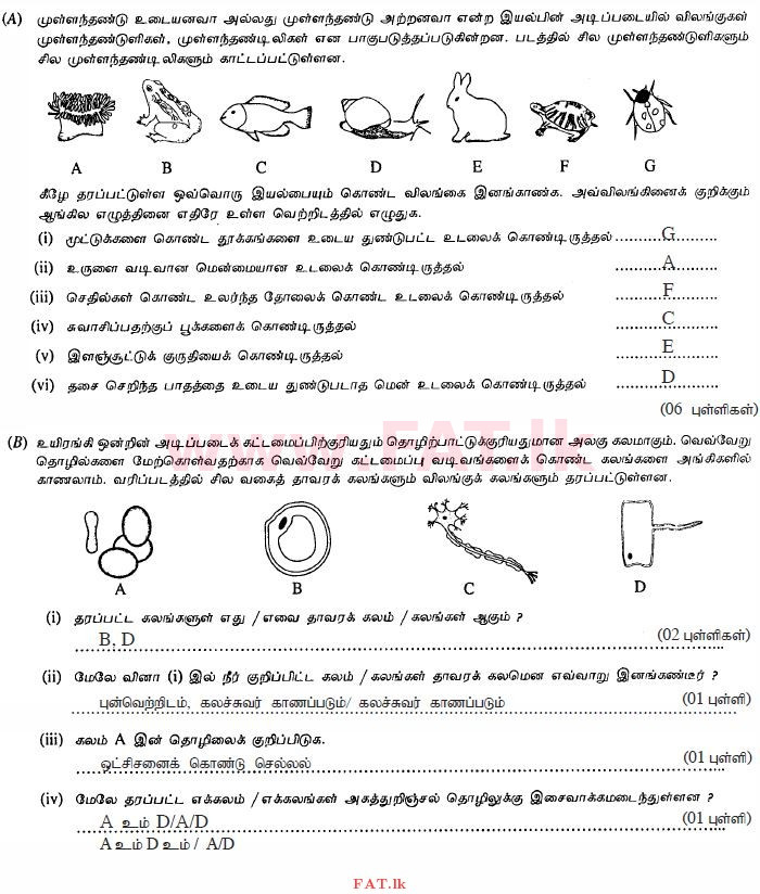 உள்ளூர் பாடத்திட்டம் : சாதாரண நிலை (சா/த) விஞ்ஞான - 2013 டிசம்பர் - தாள்கள் II (தமிழ் மொழிமூலம்) 2 1021
